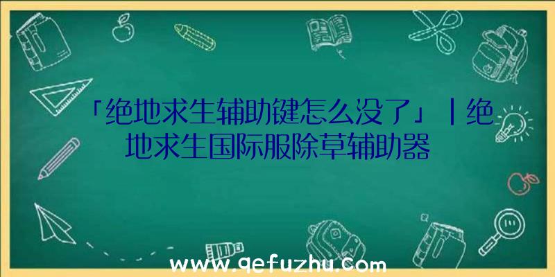 「绝地求生辅助键怎么没了」|绝地求生国际服除草辅助器